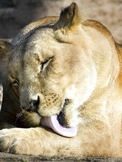 Il mio gicattolone Parte 2