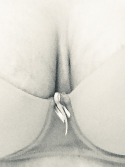 Tutta aperta