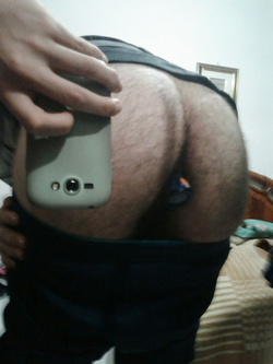 Porco Parte 5