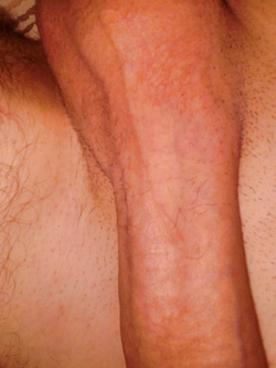 sesso sesso