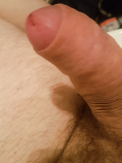 Il mio pisselino