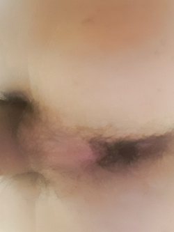 Cazzo e Culo