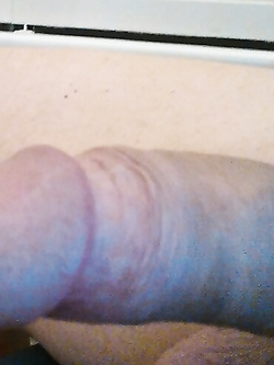 Il mio amico per la vita