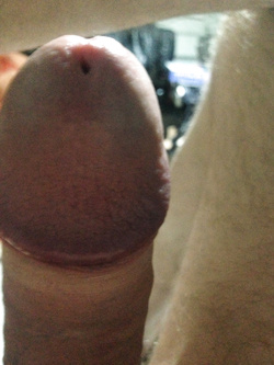 Per voi Parte 16