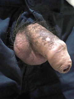 Il mio cazzo Parte 216