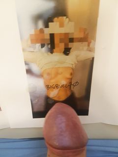 Contributo a vacca in calore