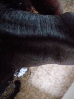 ALTRE FOTO DEL MIO CAZZO INDIANO