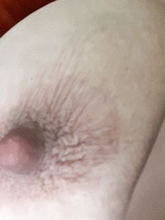 Capezzolo porcello...