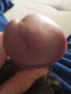 Il mio uccello Parte 18