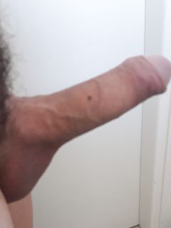 Pisello in tiro