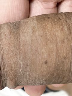 Chi me lo fa diventare duro??