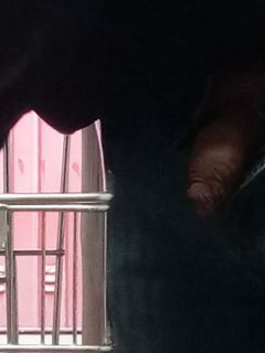 Nel parcheggio Parte 2