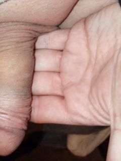 Giacomino 41enne.  2