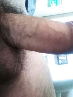 Stallone per donne mature o anziane