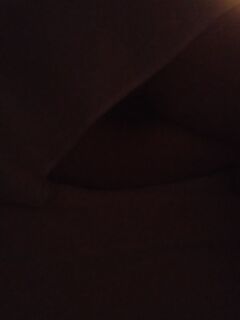 C'è sempre un curioso in casa