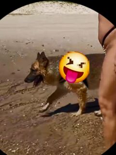 La realtà supera le fantasie