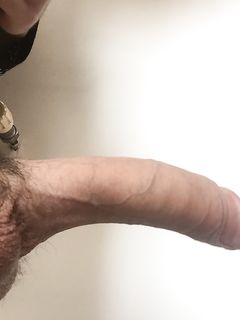 Il mio membro Parte 2